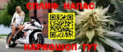 spice Пушкино