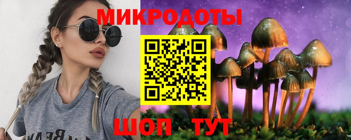 Псилоцибиновые грибы Psilocybe Псков